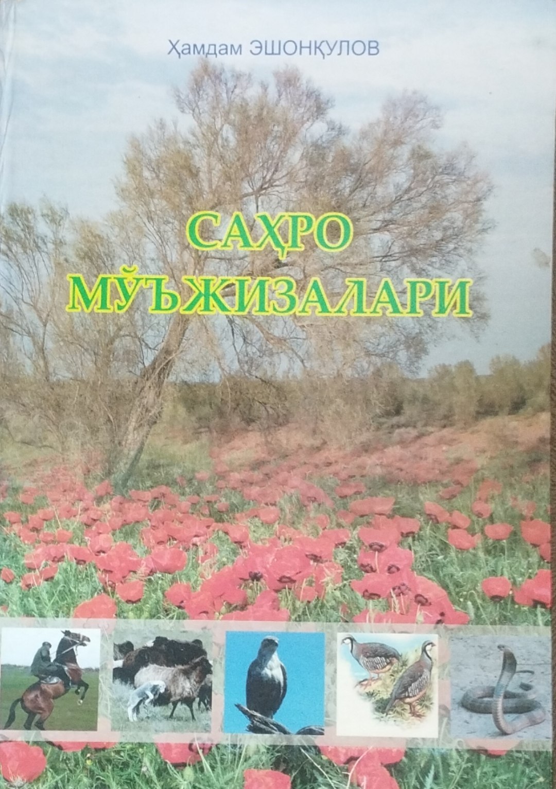 Саҳро мўжизалари ёҳуд она табиатнинг сир-синоатлари
