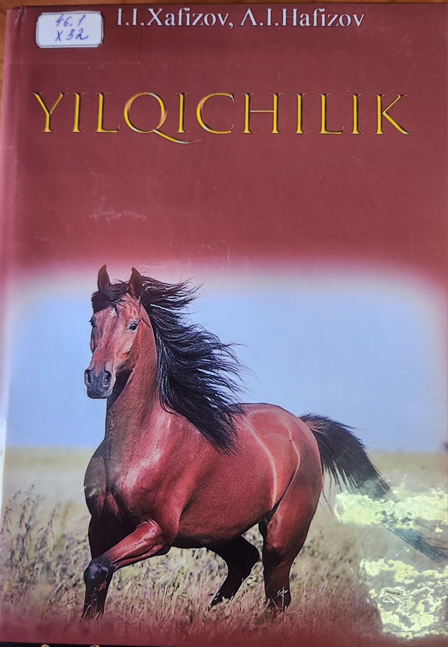 Yilqichilik