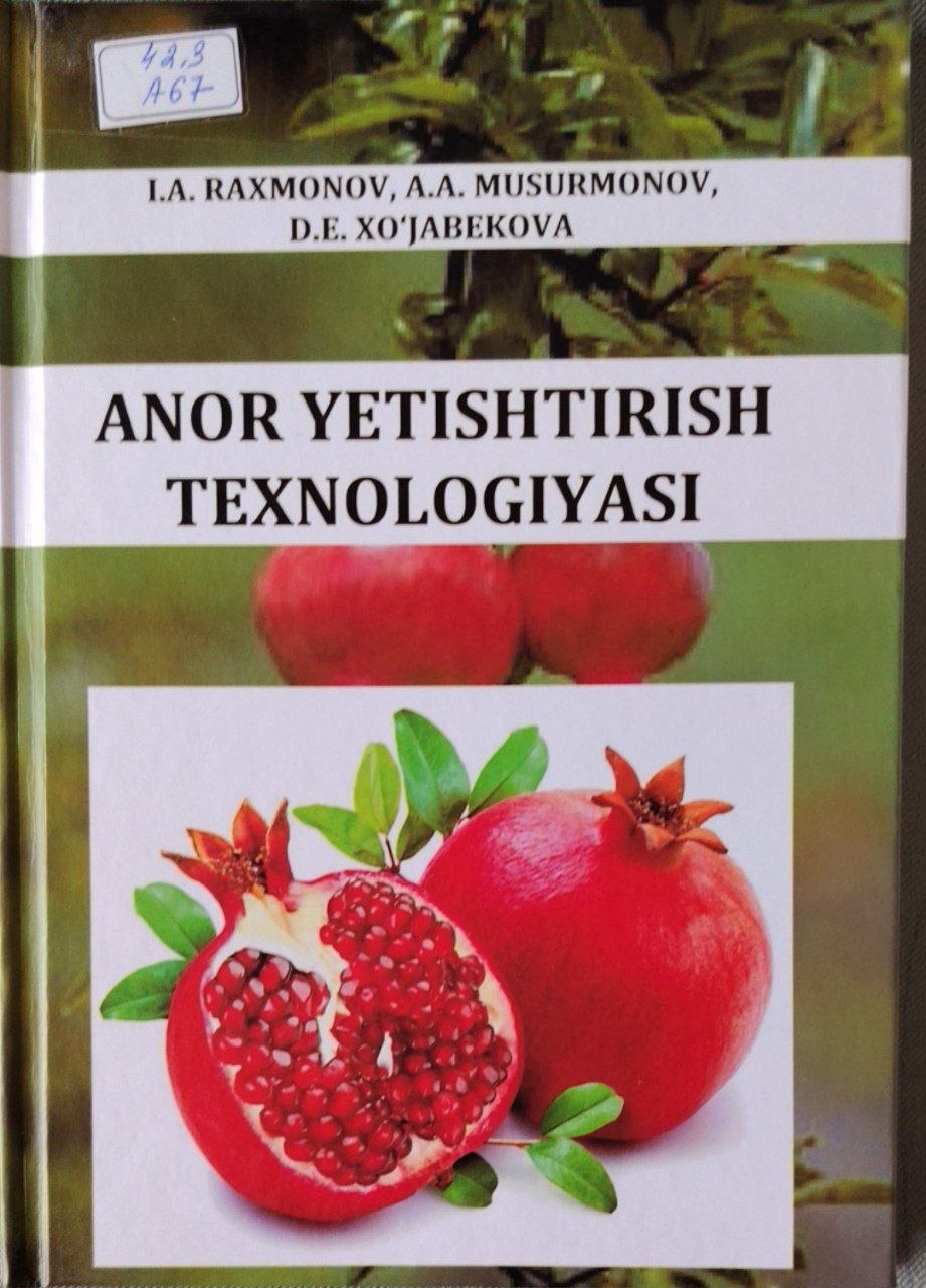Anor yetishtirish texnologiyasi