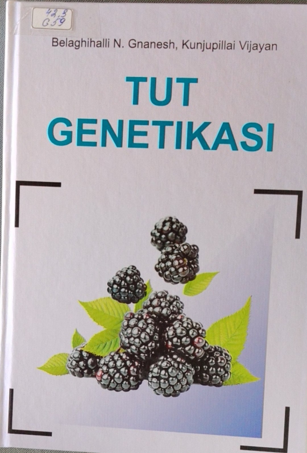 Tut genetikasi
